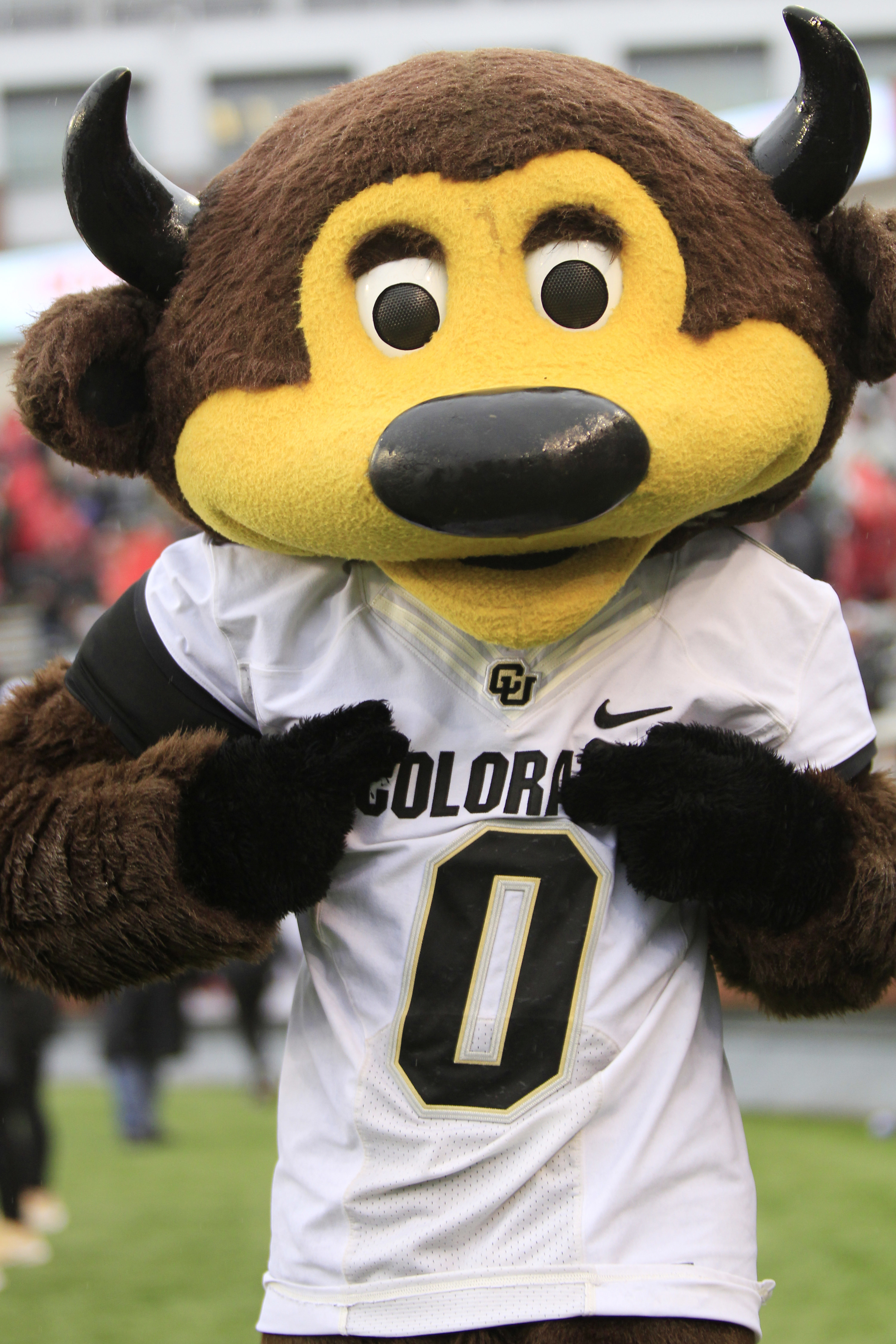 Brown Buffalo mascot with yellow face.