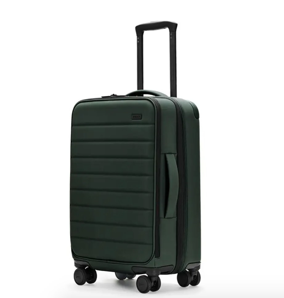 The carry-on bag in green