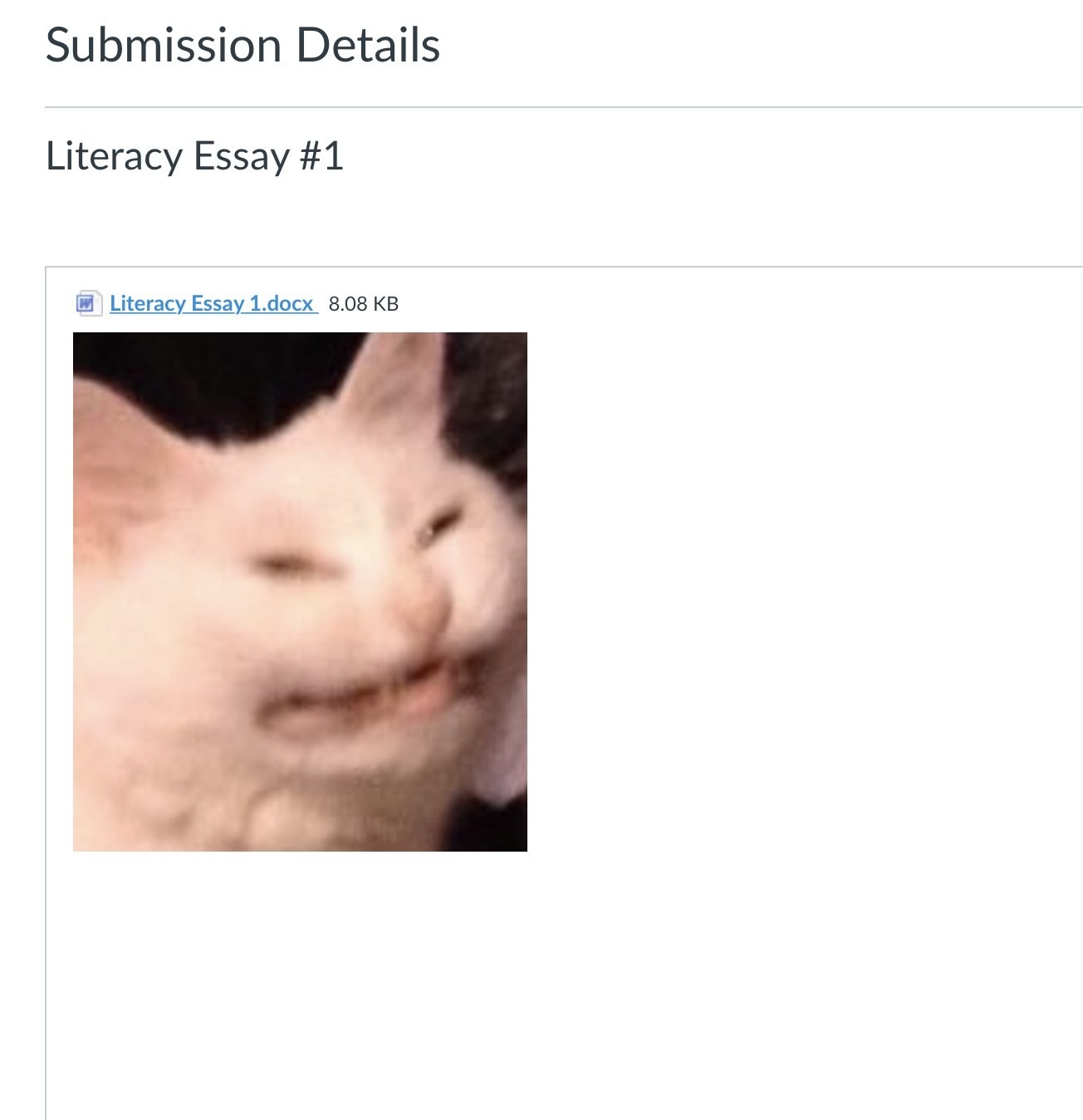 &quot;Submission details: literacy essay #1&quot; with a picture of an angry cat