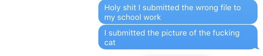 texts saying &quot;Holy shit I submitted the wrong file to my school work, I submitted the picture of the fucking cat&quot;