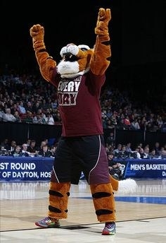 Tiger mascot in Texas Southern gear.