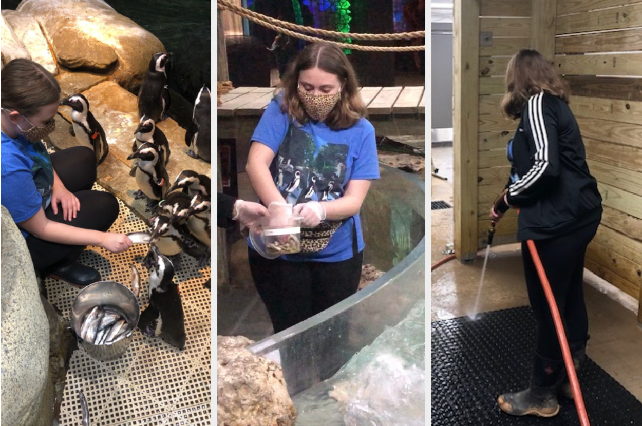 Woman feeding penguins, feeding rays, and hosing a floor