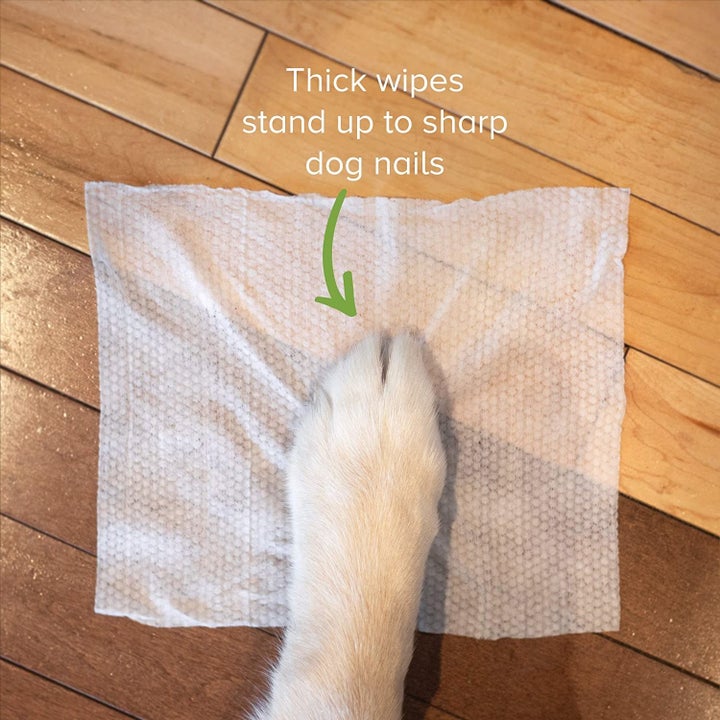 a dog's paw on the wipe with text over it reading "thick wipes stand up to sharp dog nails"