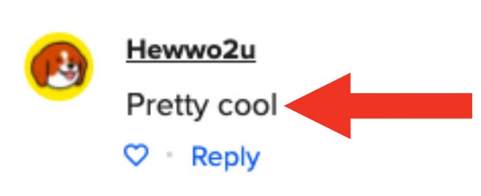 A commenter saying &quot;pretty cool&quot;