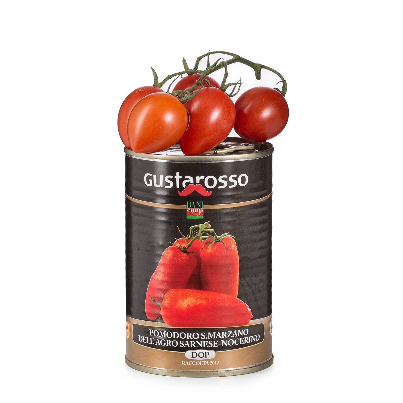 The can of tomatoes