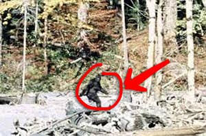 a blurred image of the supposedly real big foot running through the woods