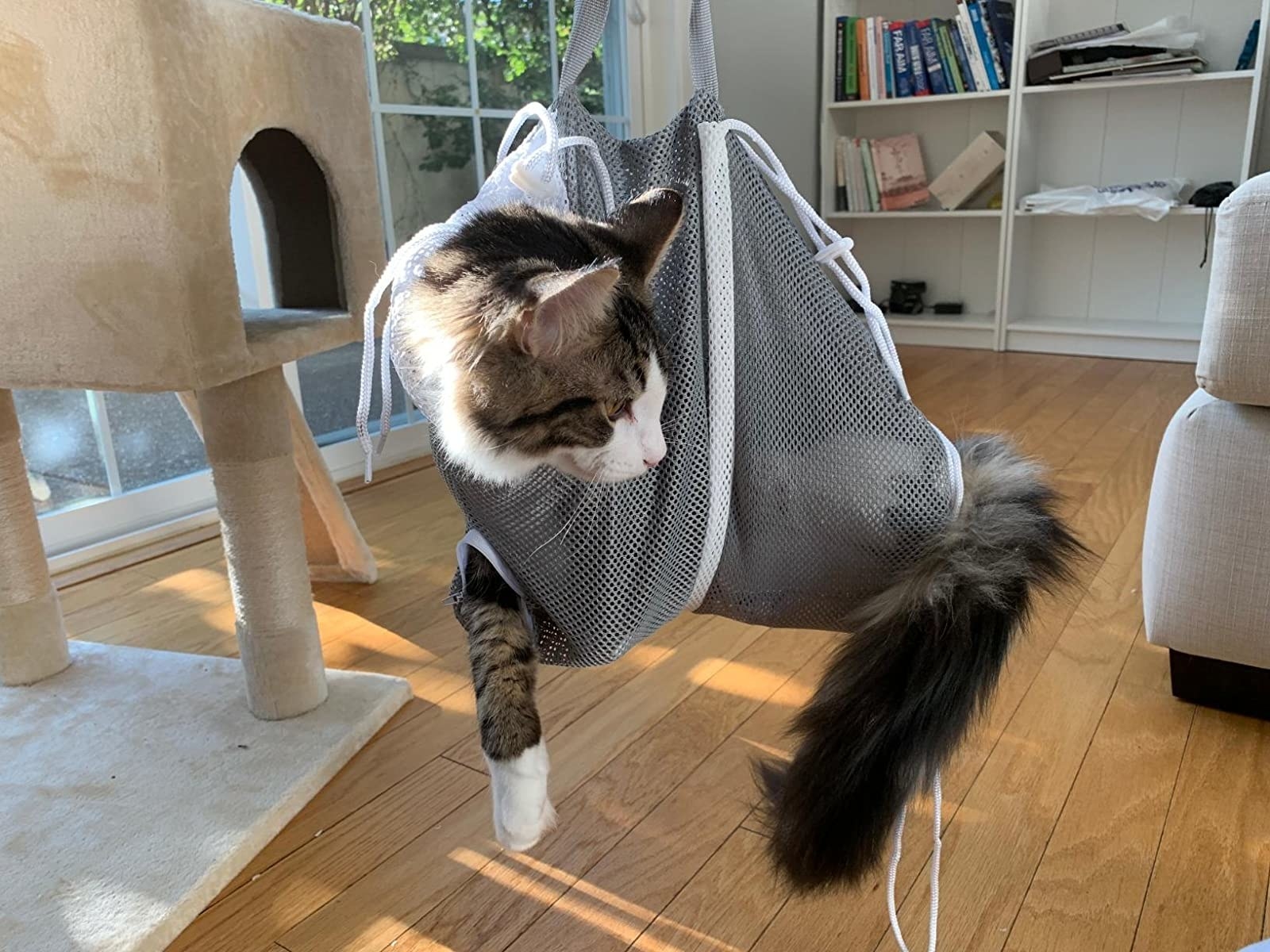 Review photo of the grey cat shower and grooming net bag 