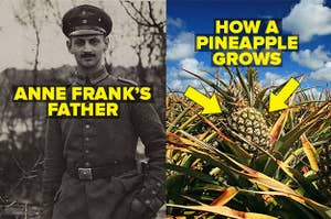 Anne Frank's father Otto and how a pineapple grows