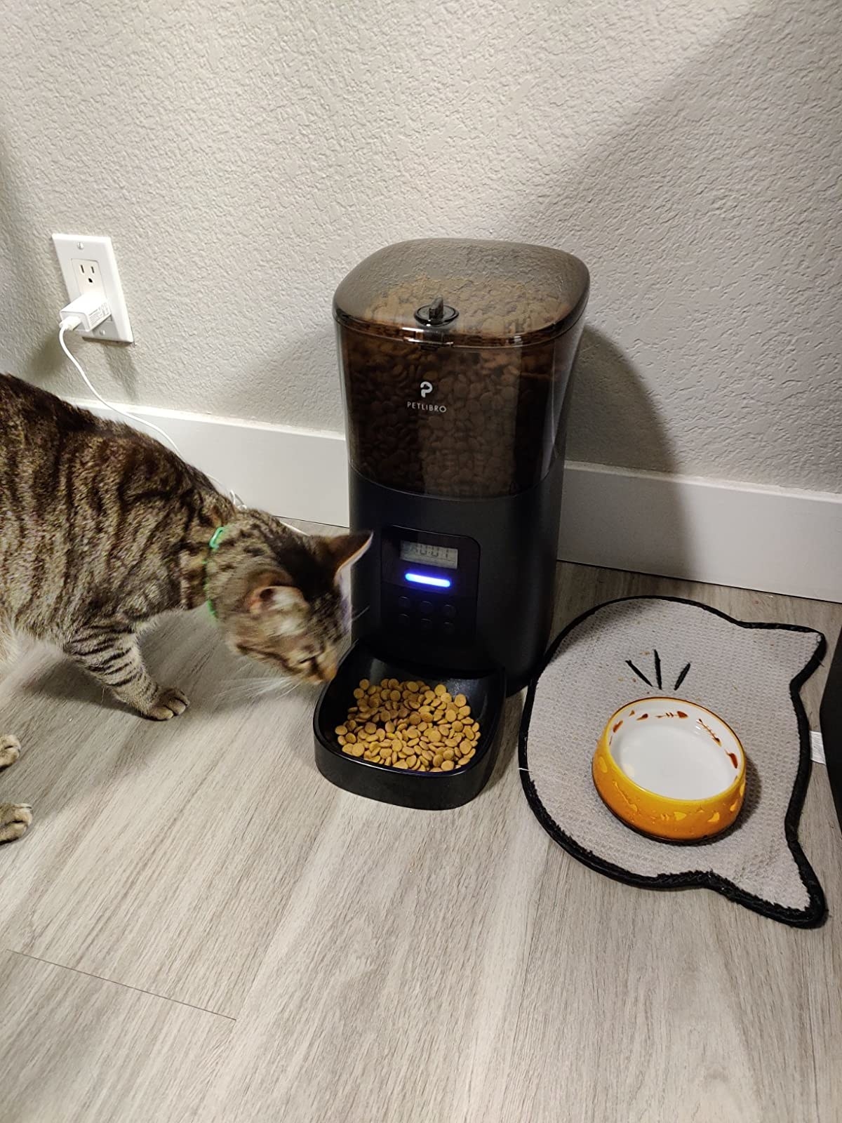 Review photo of the black automatic cat feeder