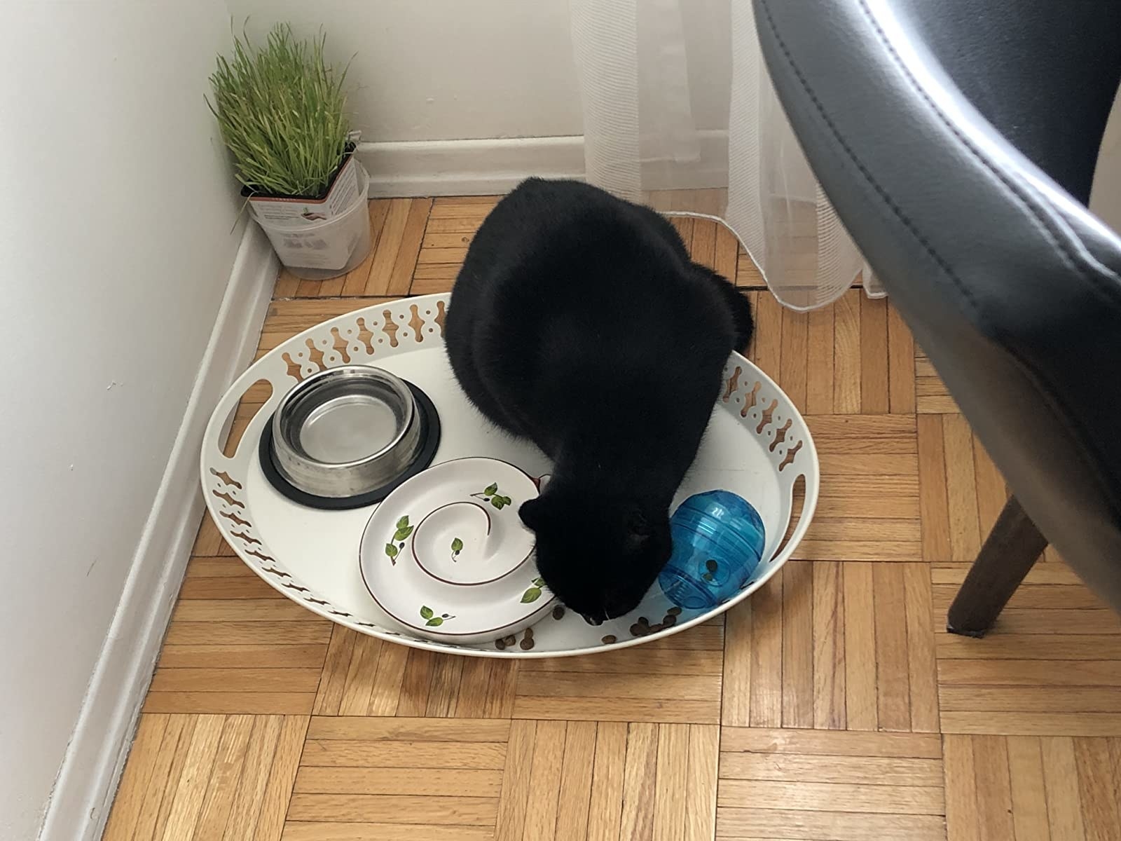 Review photo of the cat toy and treat dispenser