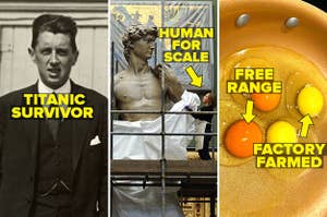 Richard Norris survived the Titanic, the Statue of David is really big, and the different between free range and factory farmed egg yolk