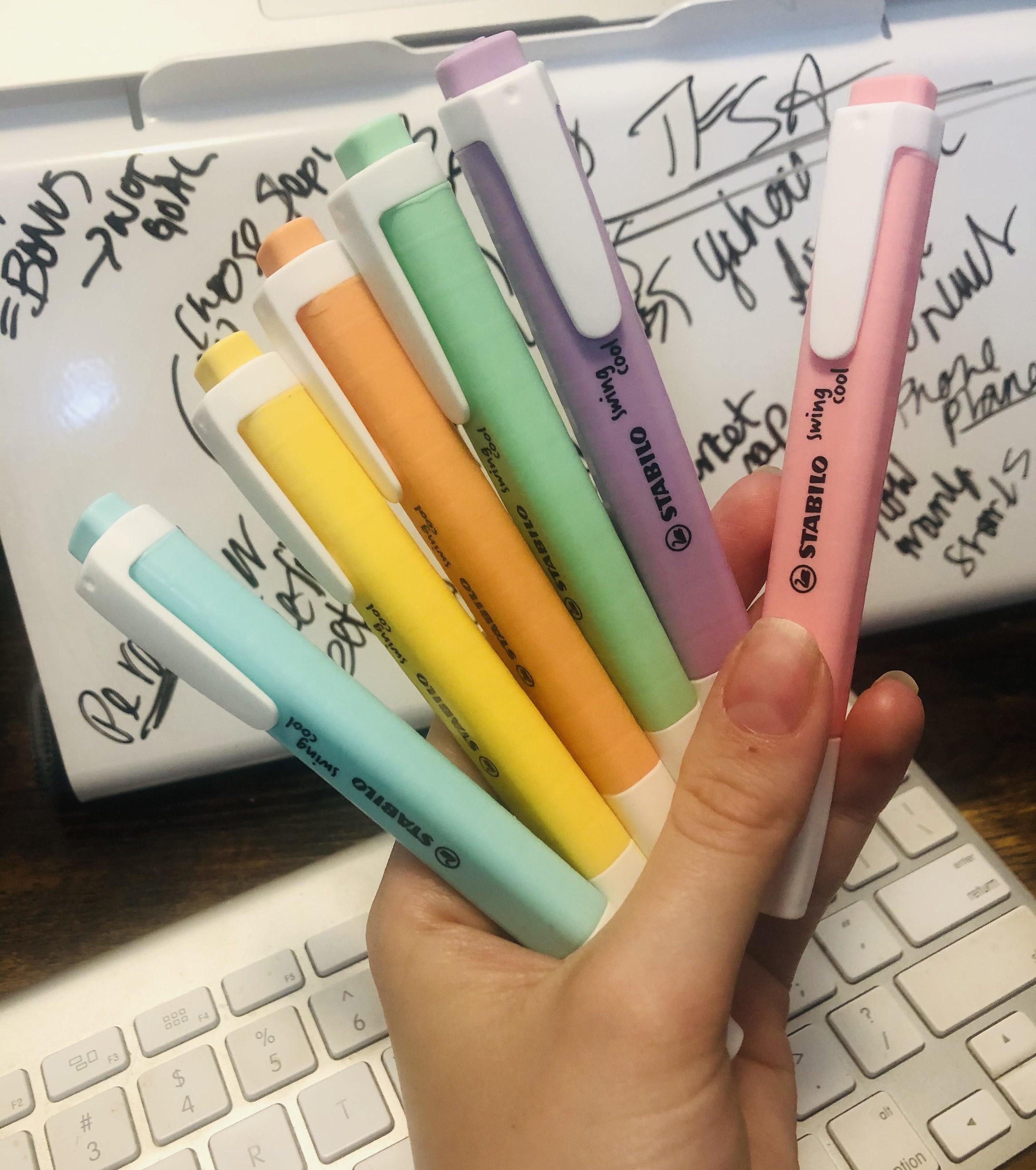 A person holding all six highlighters in front of a white board