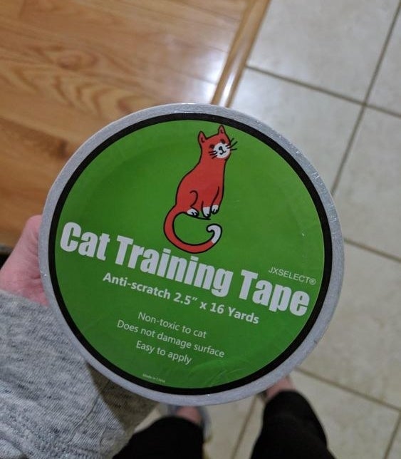 Reviewer holding the jar of tape with a cute cat illustration on the lid