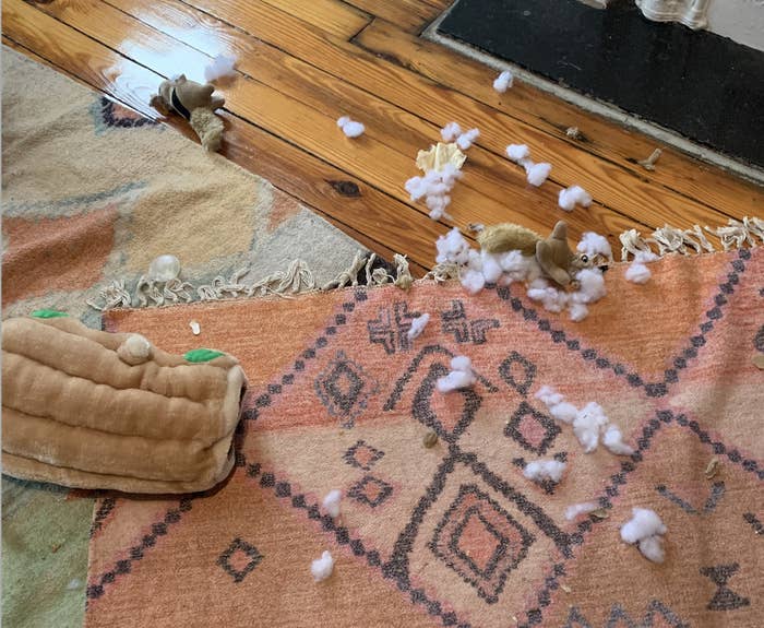 a picture of the stuffing of a toy strewn across the floor
