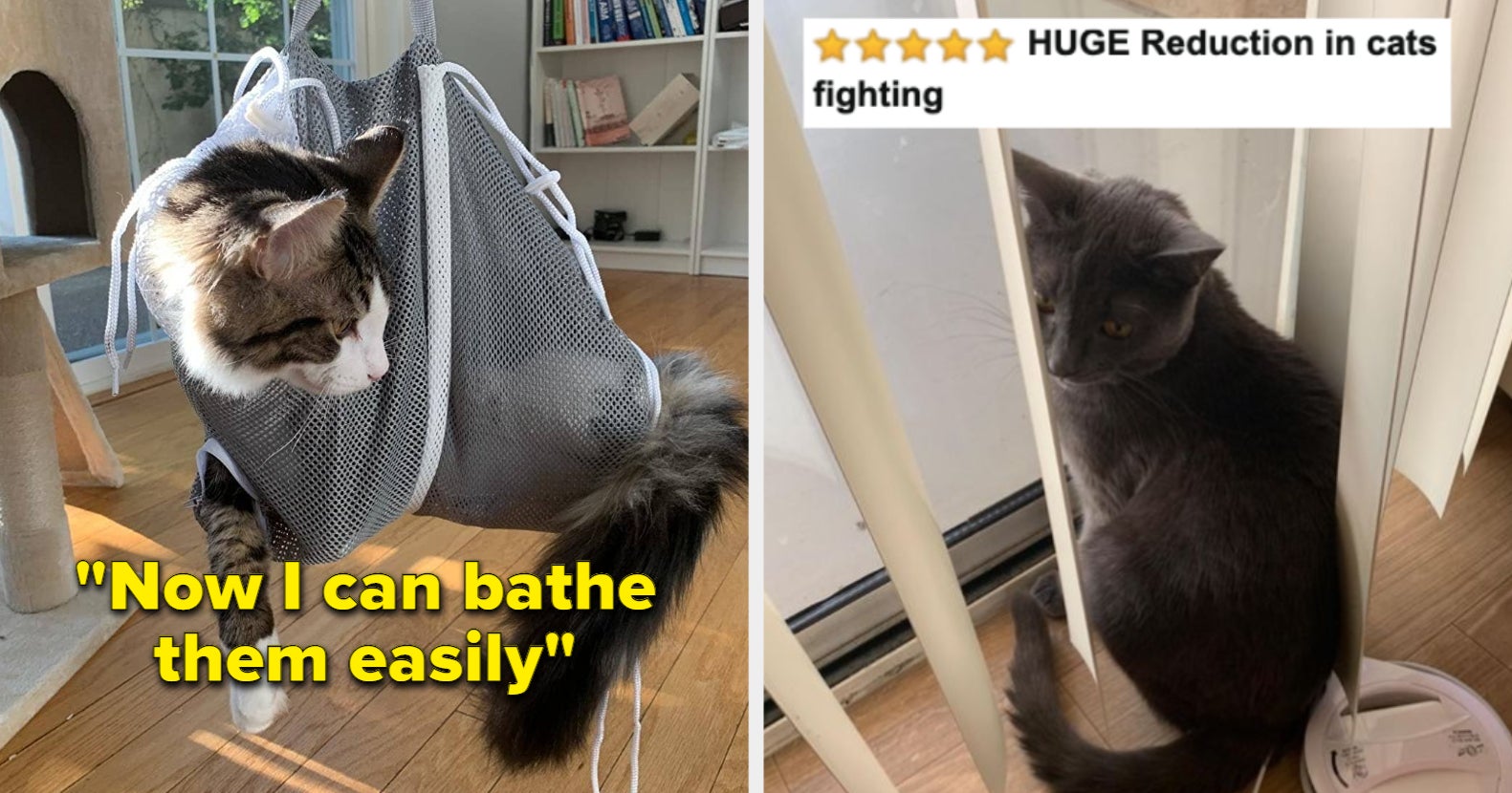 25 Helpful Products From  For Difficult Cats