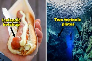 (left) a hand holds a hot dog with mayo and ketchup and text "Icelandic ketchup;" (right) a diver floats between two cliff walls with over laid text "two tectonic plates"