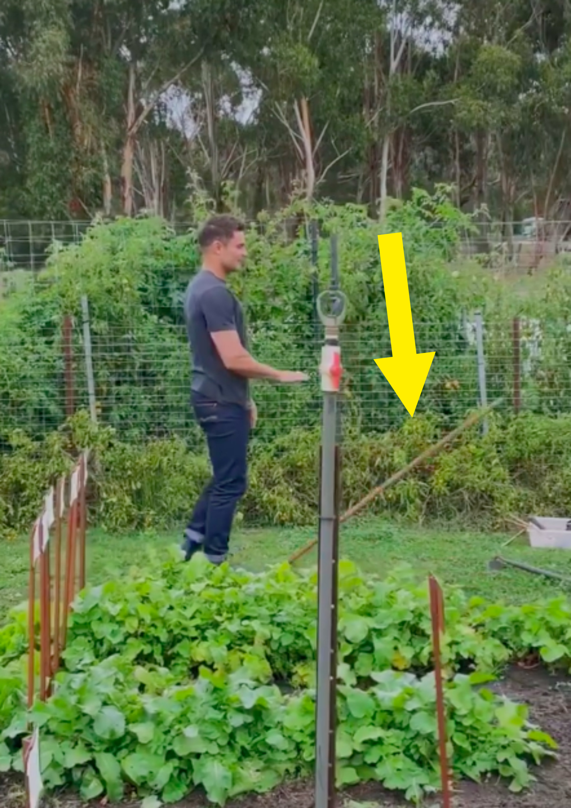 An arrow pointing to a rake as it&#x27;s lifted into the air