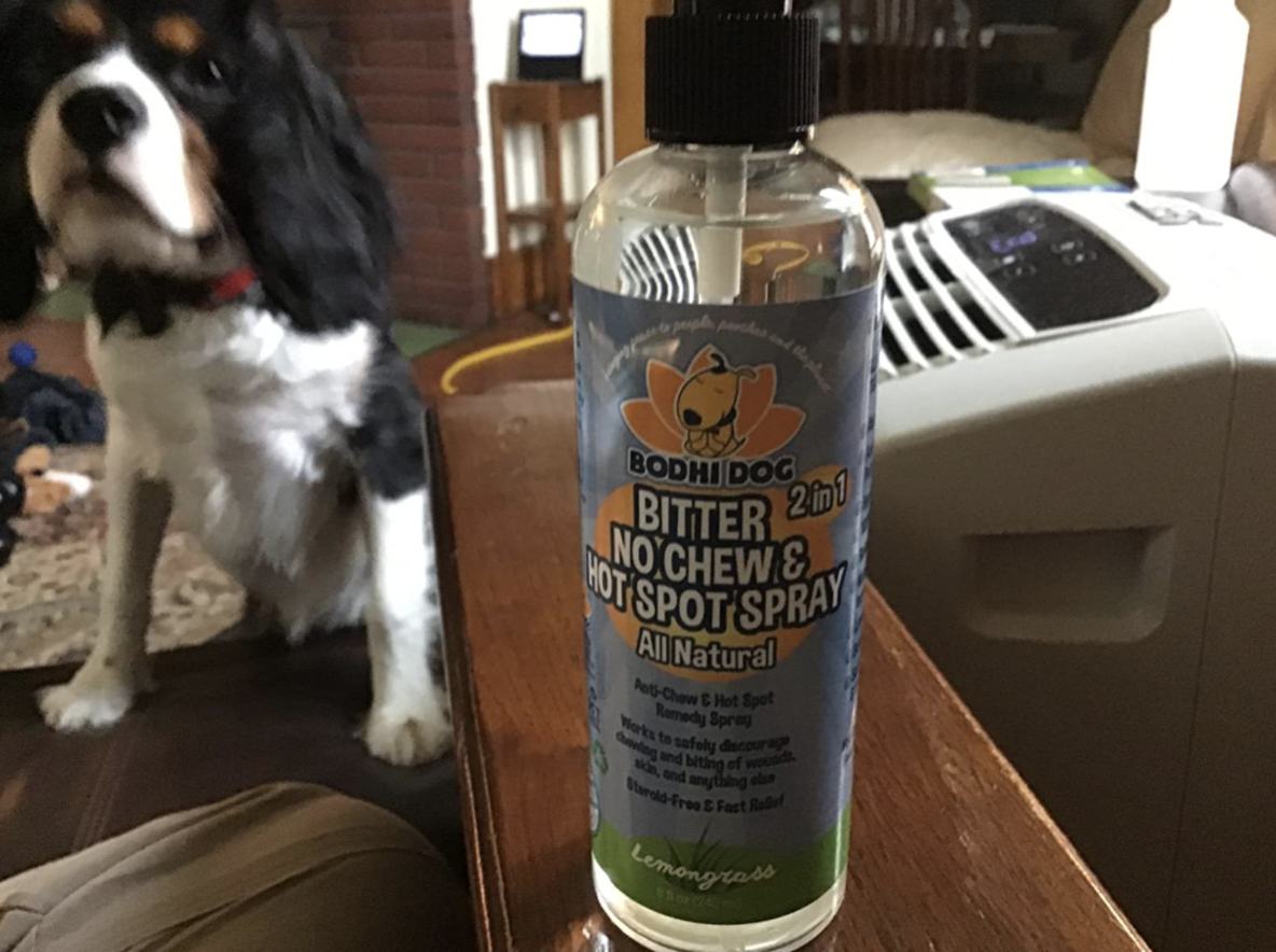 reviewer photo of the bottle of bitter spray next to their dog