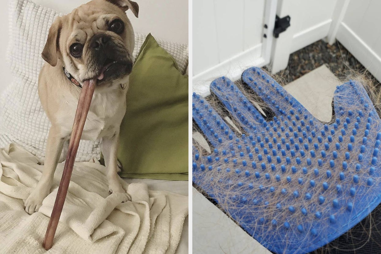 bully sticks and a pet hair brush
