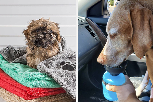 microfiber dog towels and a travel water bottle