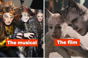 Cats in costume in the Cats musical vs the cats in the Cats film