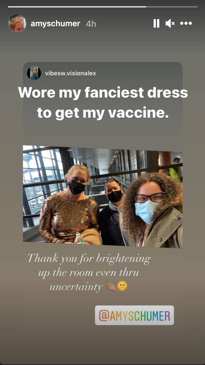 Amy Schumer with fans while wearing a fancy dress 