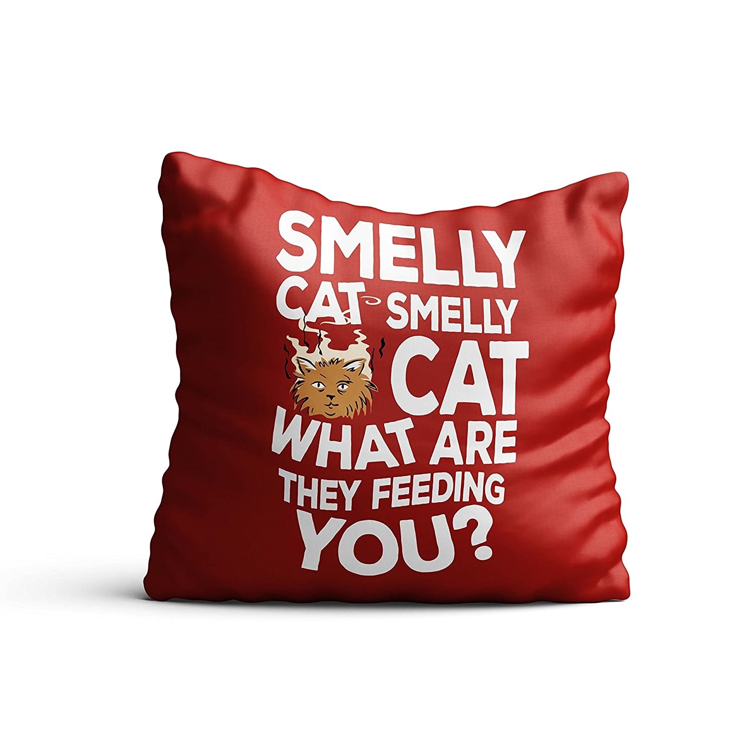 A cushion cover with the lyrics to smelly cat on it 