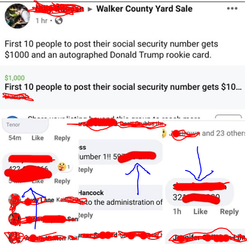 people posting their social security numbers on facebook