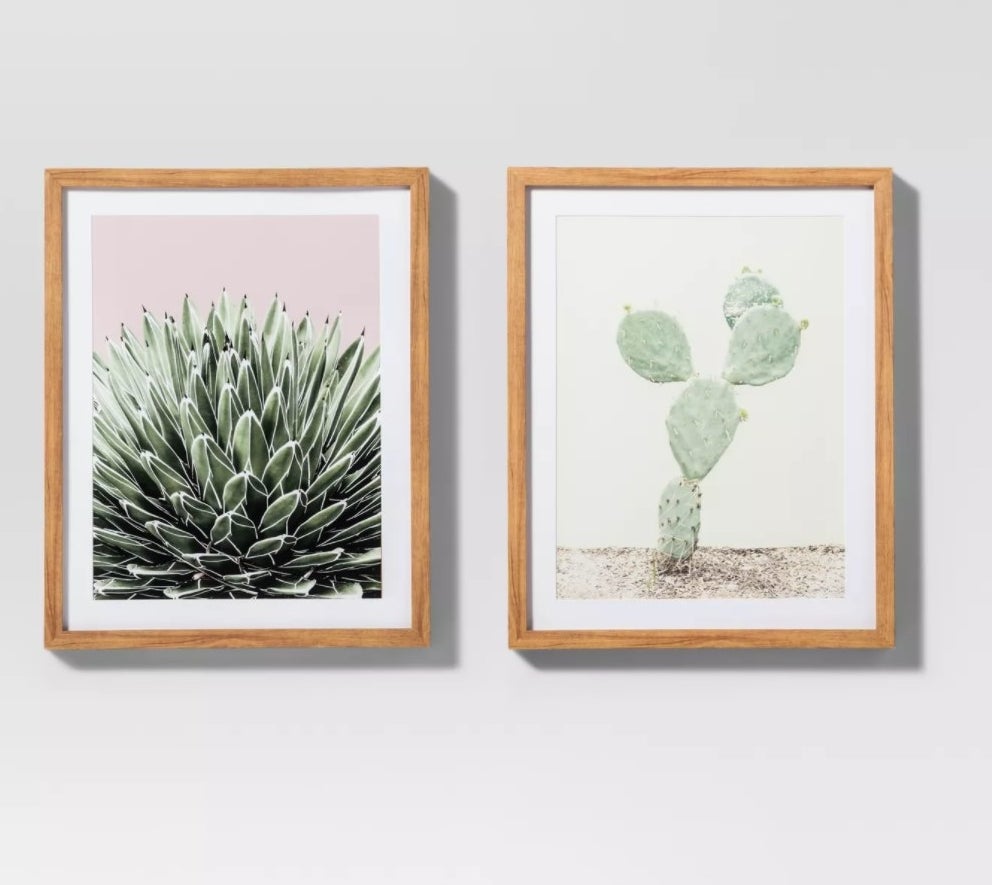 The framed prints, one close-up and one landscape, against a grey wall