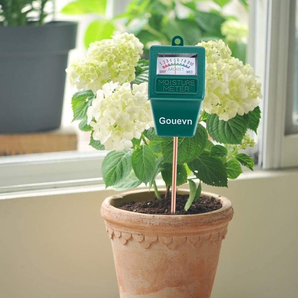 The moisture meter inserted into a potted plant
