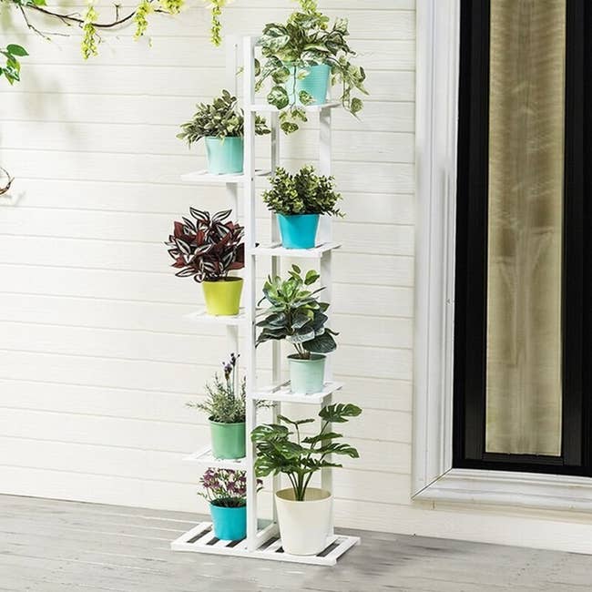 The plant stand in the color White