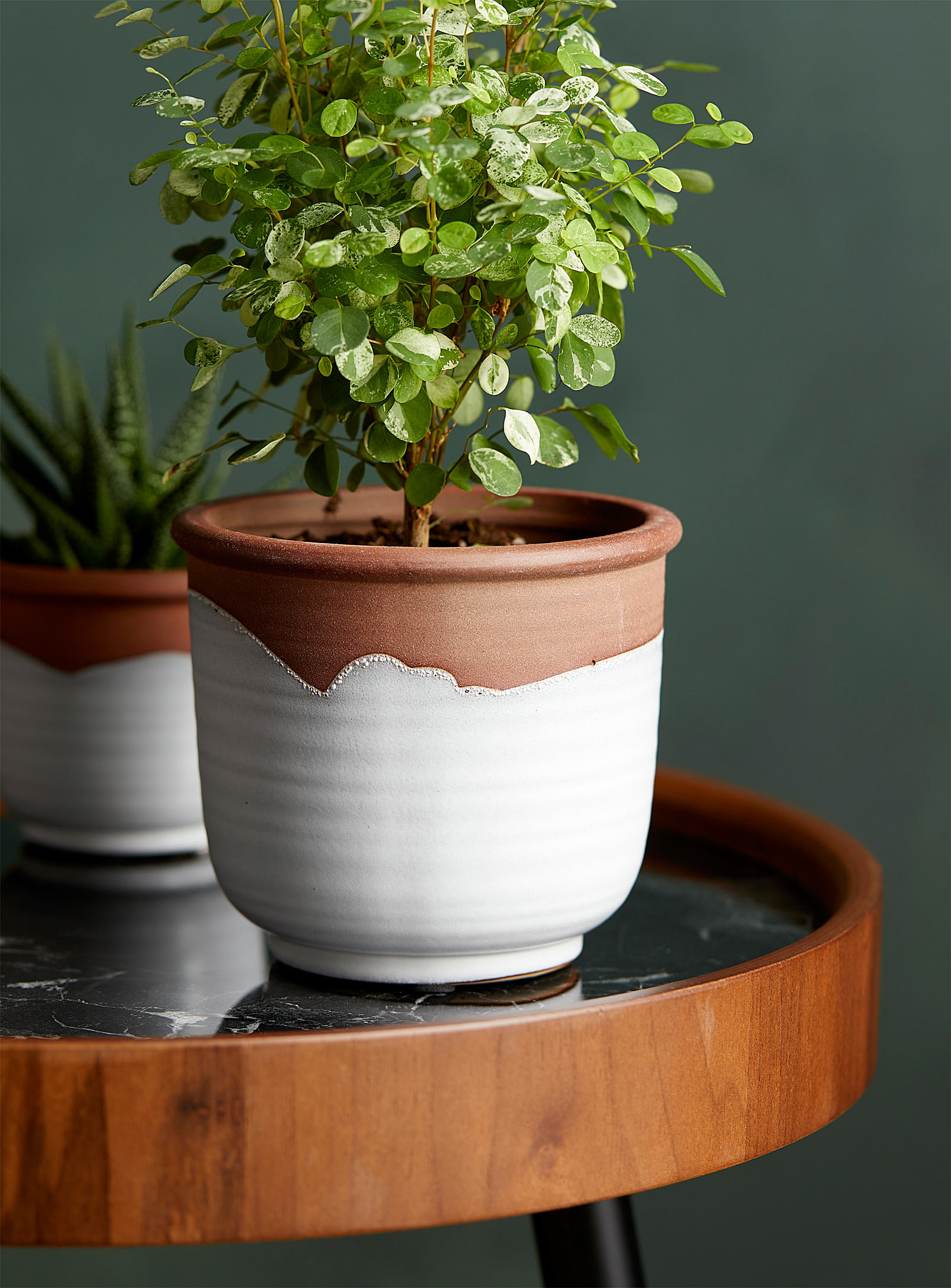 A terracotta planter on a circular side table