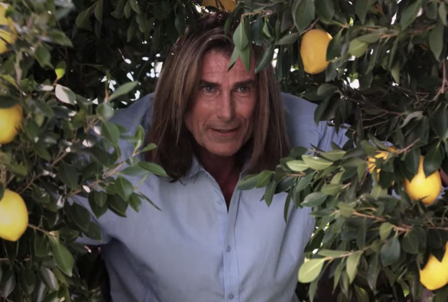 Fabio hiding in a lemon tree.