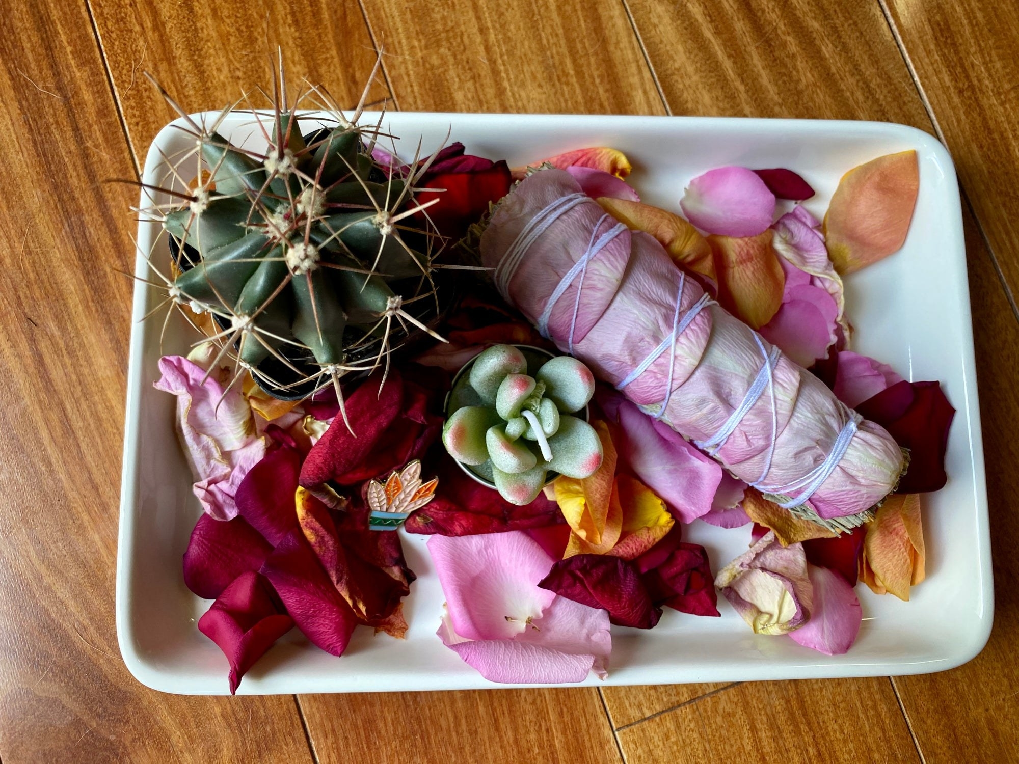 cactus, succulent candle, smudging kit styled in dish with rose petals