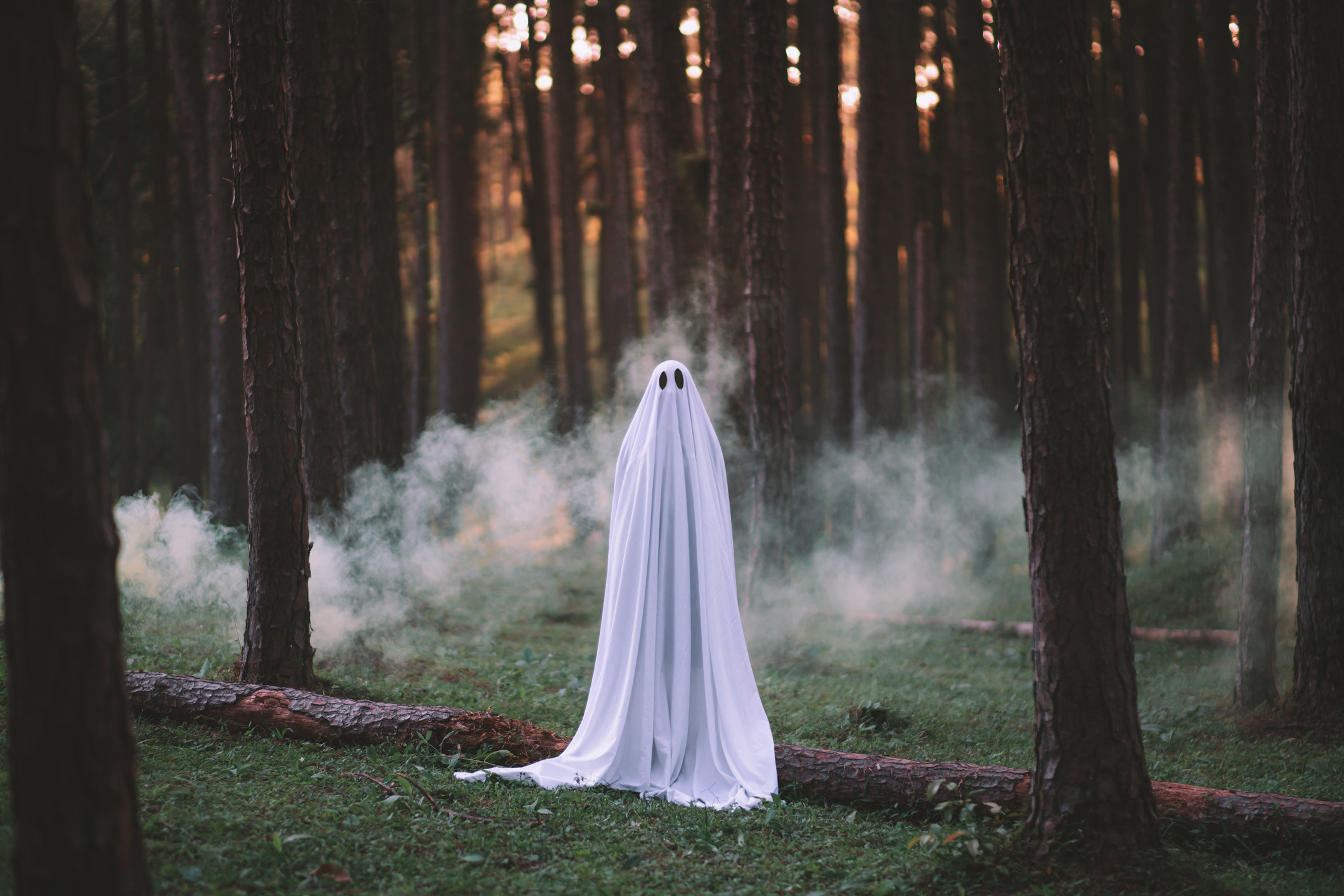 A sheet ghost