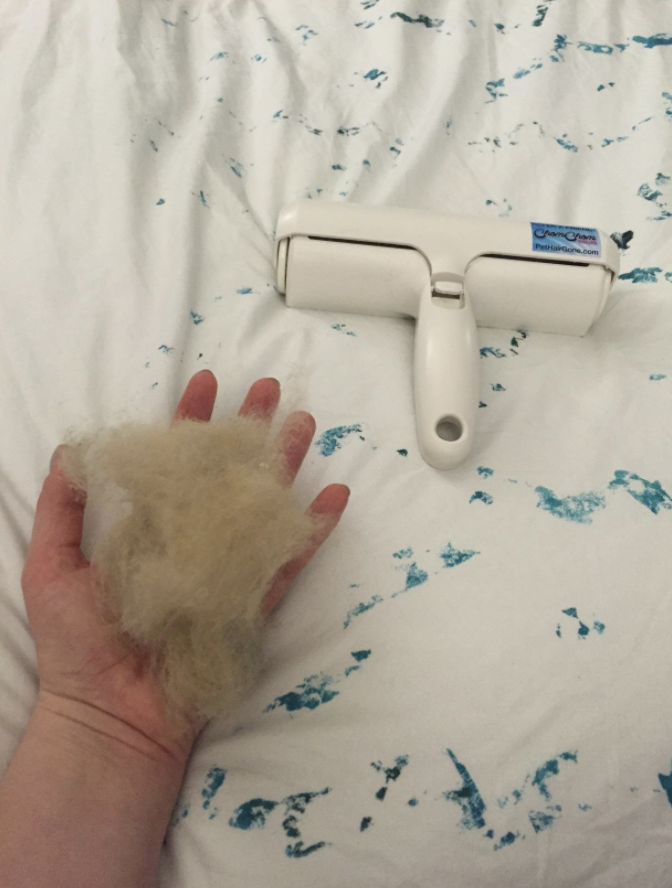 reviewer&#x27;s hand holding all the cat hair removed with the tool from their bed