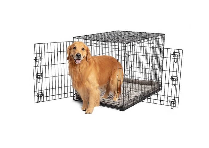 The wire dog crate