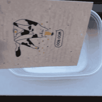 gif of buzzfeed editor's cat card being placed in a container of water