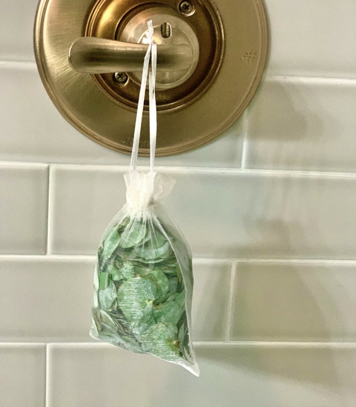 A pouch of eucalyptus leaves hanging from a bathroom handle