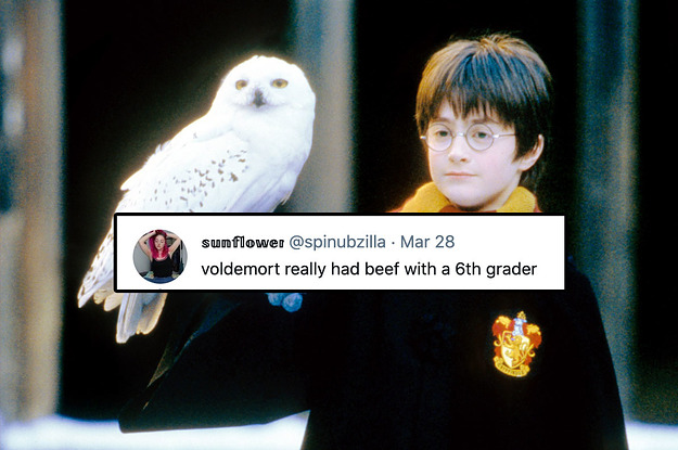 A young Harry Potter holds his owl with a superimposed tweet reading "voldemort really had beef with a 6th grader"