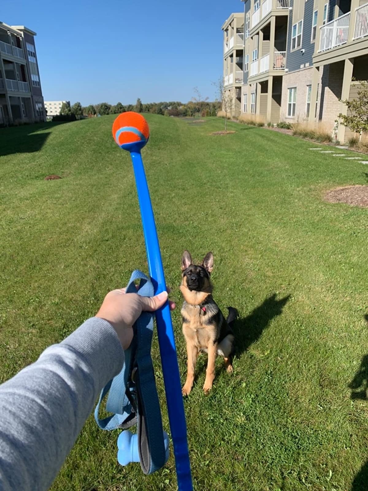 Review photo of the ball launcher