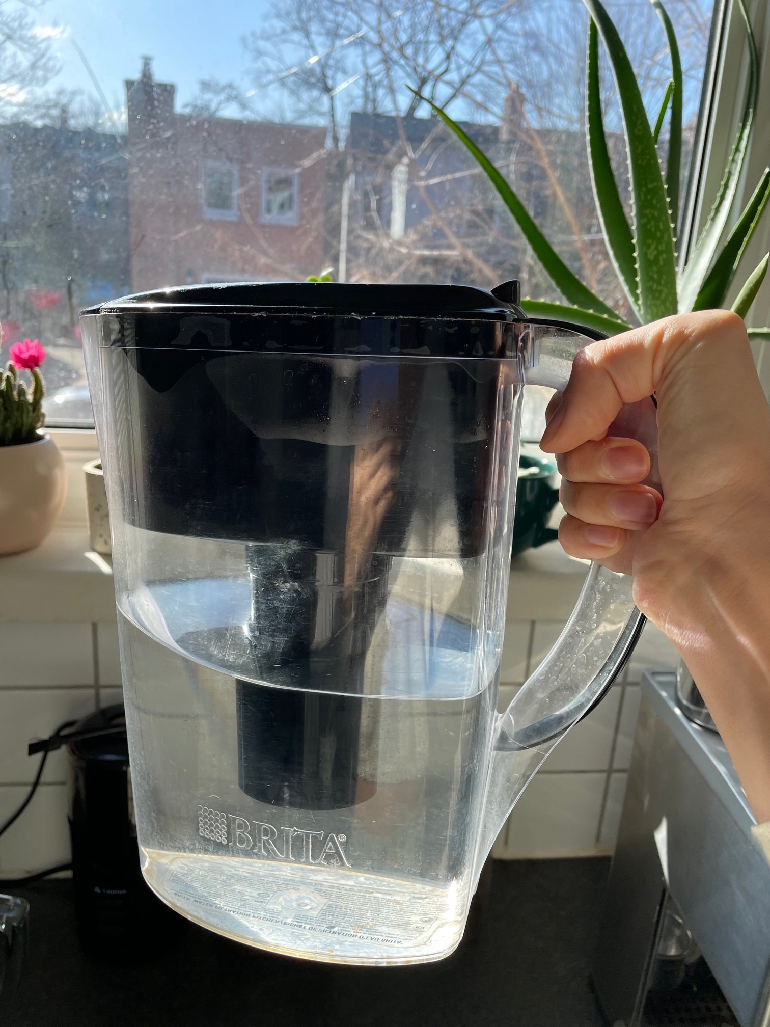 Brittany holding her Brita pitcher in front of a window