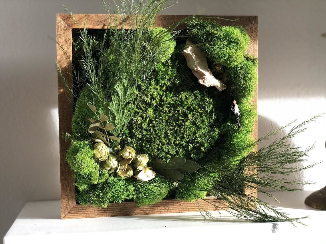 wooden frame with moss and stems in it 