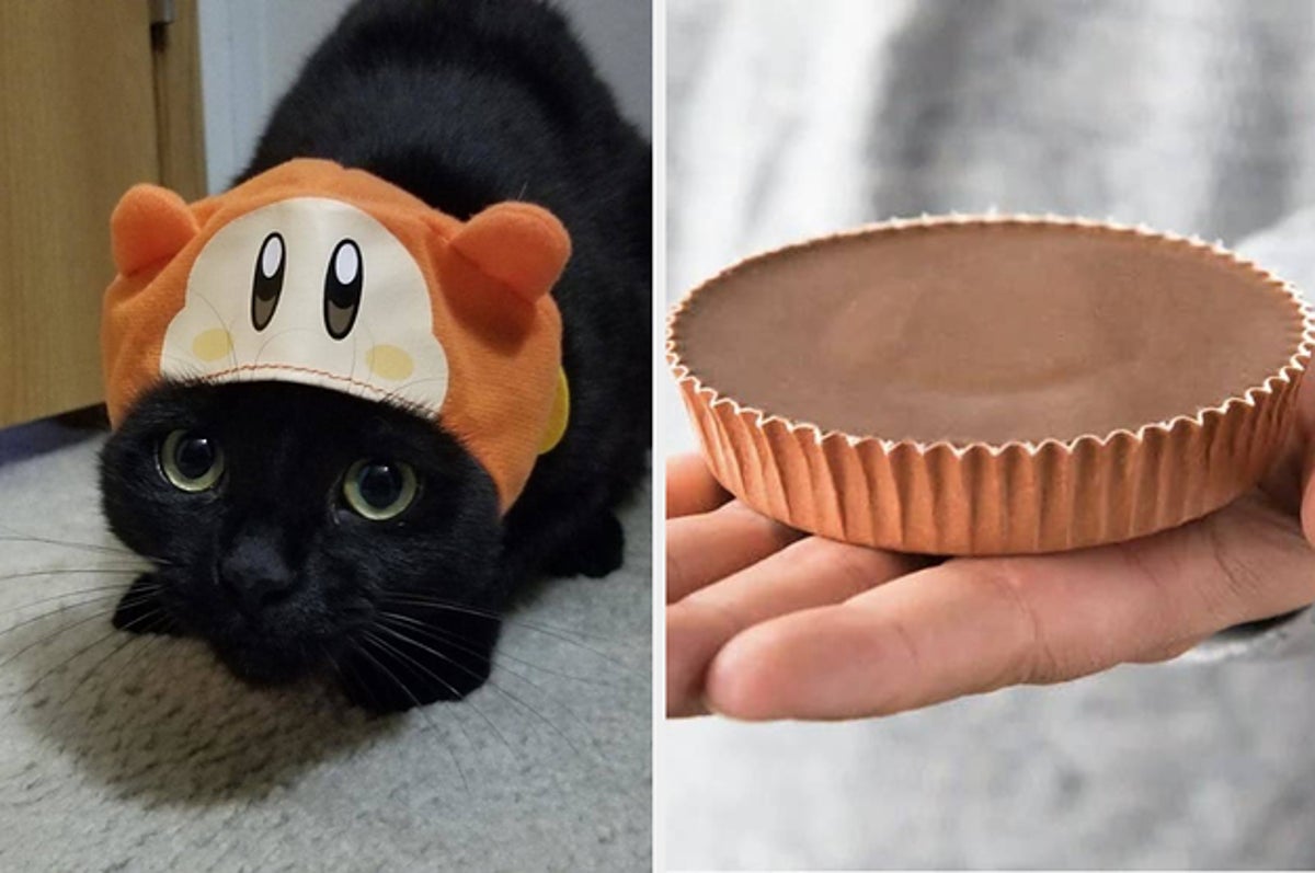 Just 27 Things That Are Small, Cheap, And Cute
