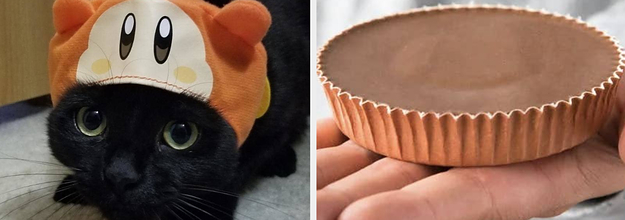 Just 27 Things That Are Small, Cheap, And Cute