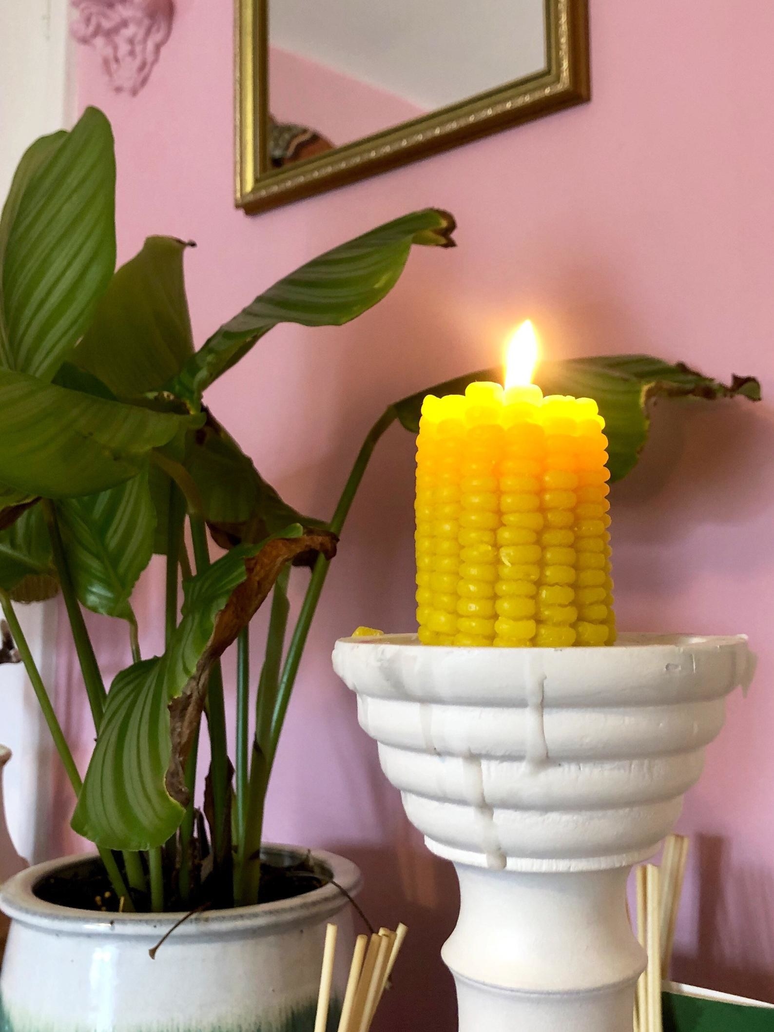 The lit corn candle