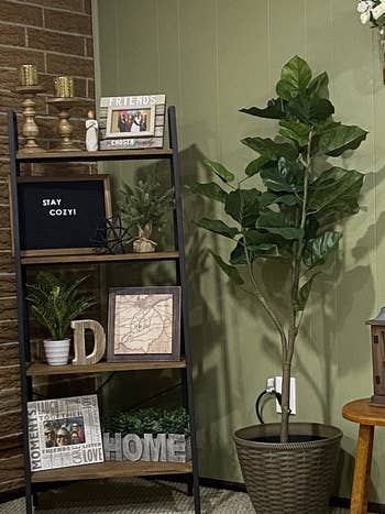 reviewer's same bookshelf with picture frames, candle holders, plants, and a sign that says 