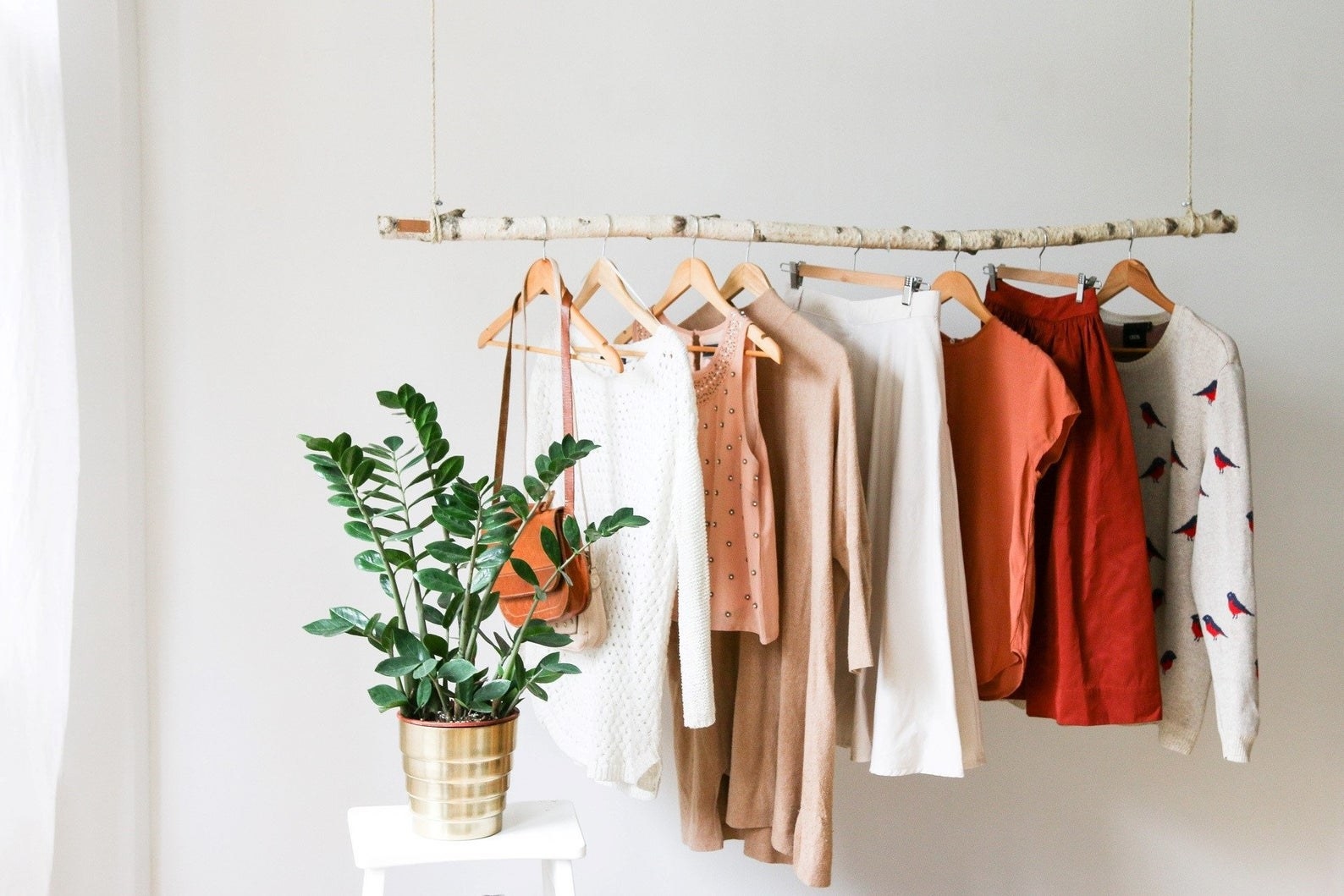 branch hangs suspended from ceiling and works as garment bar 
