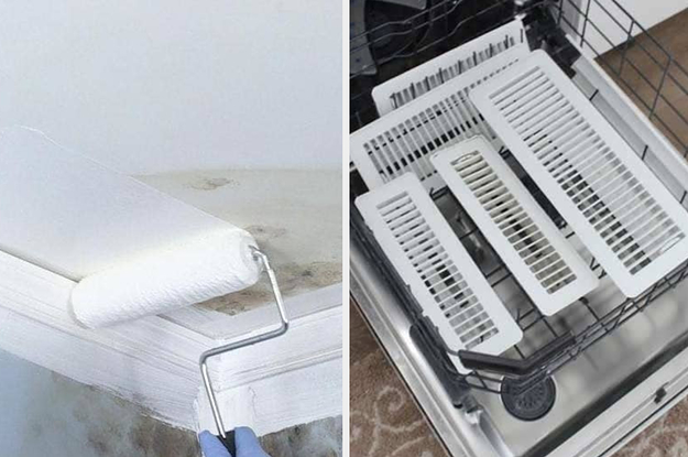 paint roller going over mold; vents in lower rack of dishwasher