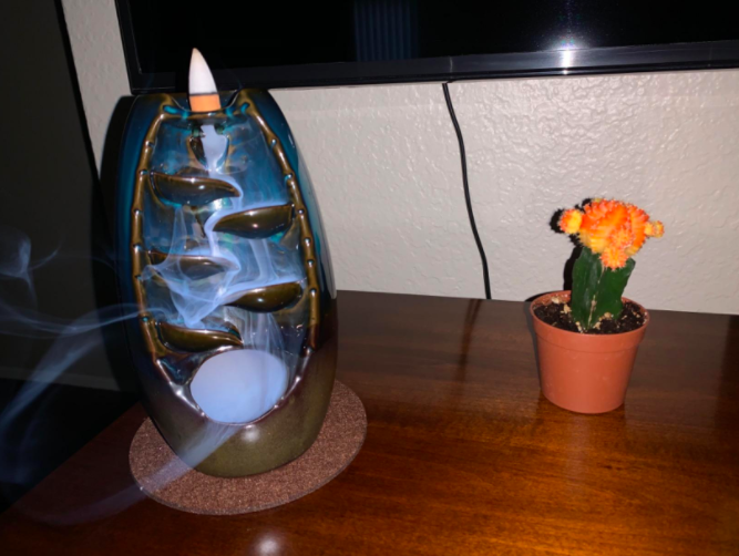 a customer review photo of the incense burner next to a cactus